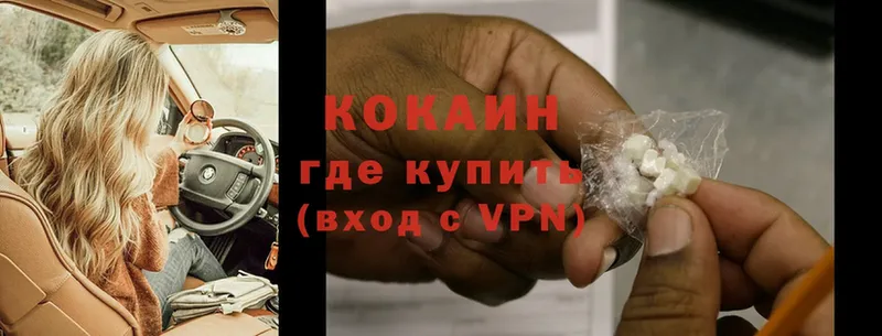 Cocaine Fish Scale  как найти   Ржев 